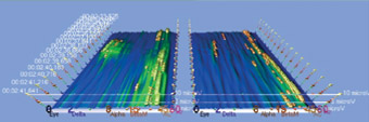 Brain Wave Pattern - Focused